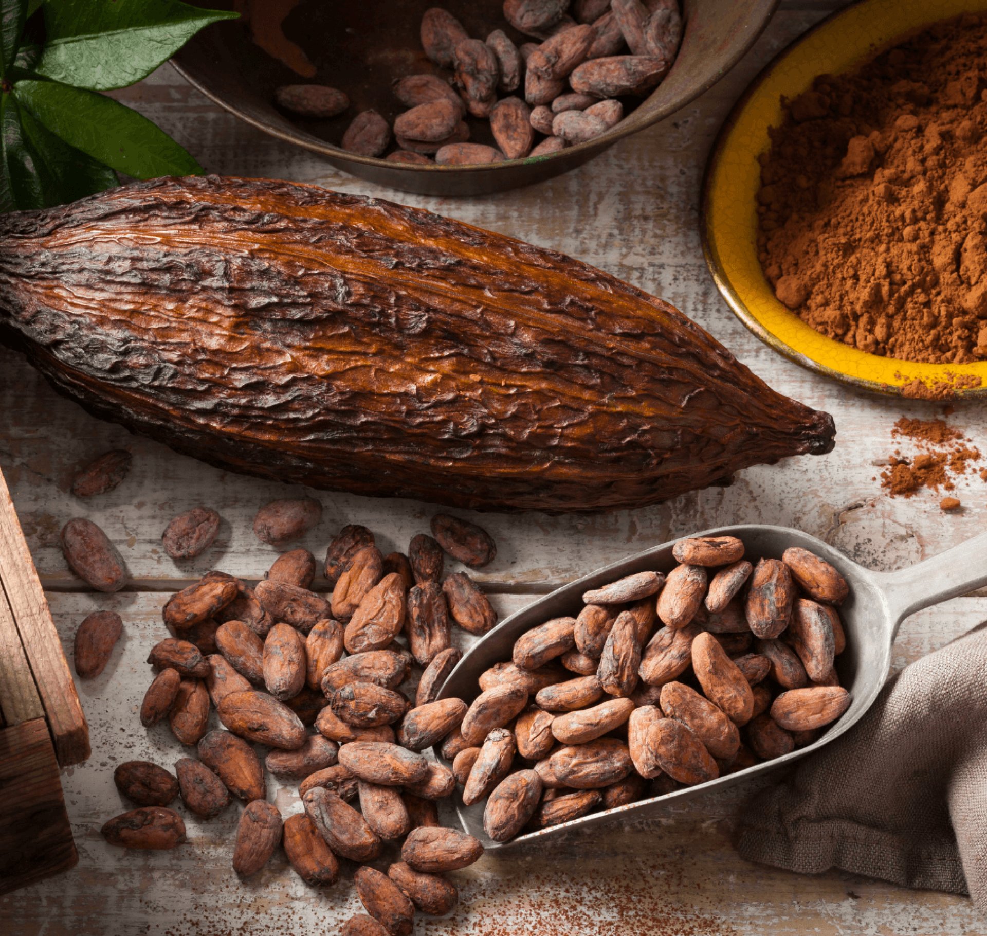 Artesanal Chocolate
